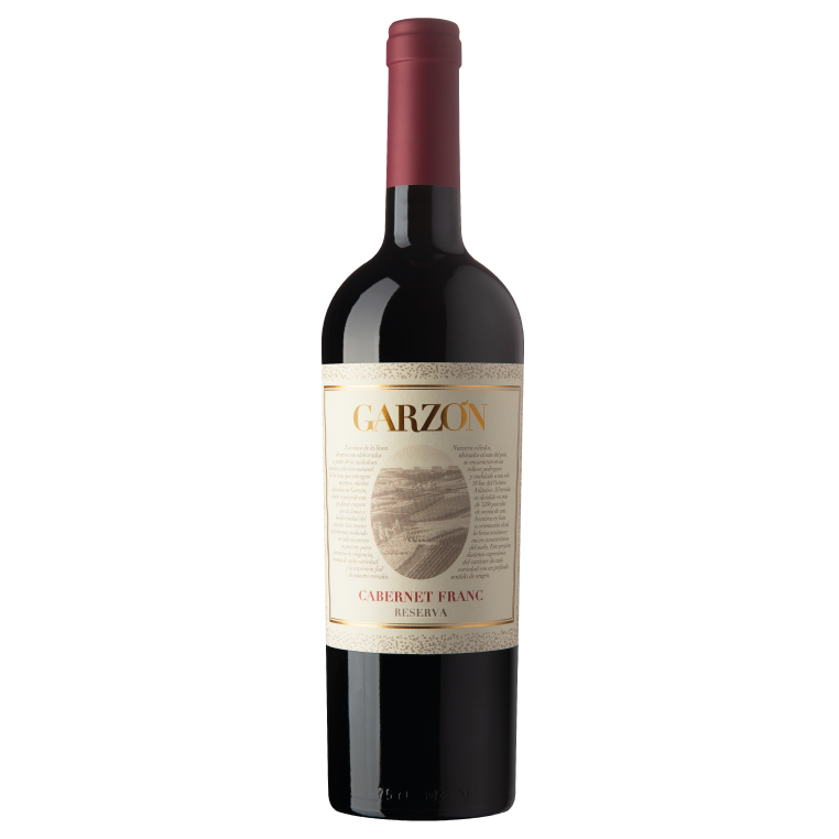 Bodega Garzon Reserva Cabernet Franc Uruguay 2021 (12 bottles)