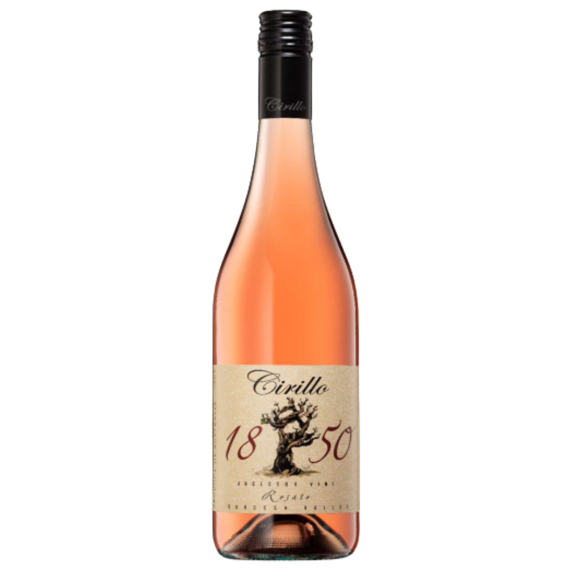 Cirillo 1850 Ancestor Vine Series Rosato 2024 (12 Bottles)