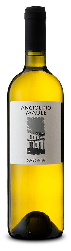 La Biancara Sassaia 2021 (12 Bottles)