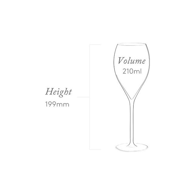 Plumm Everyday Sparkling ETCHED (12pk)