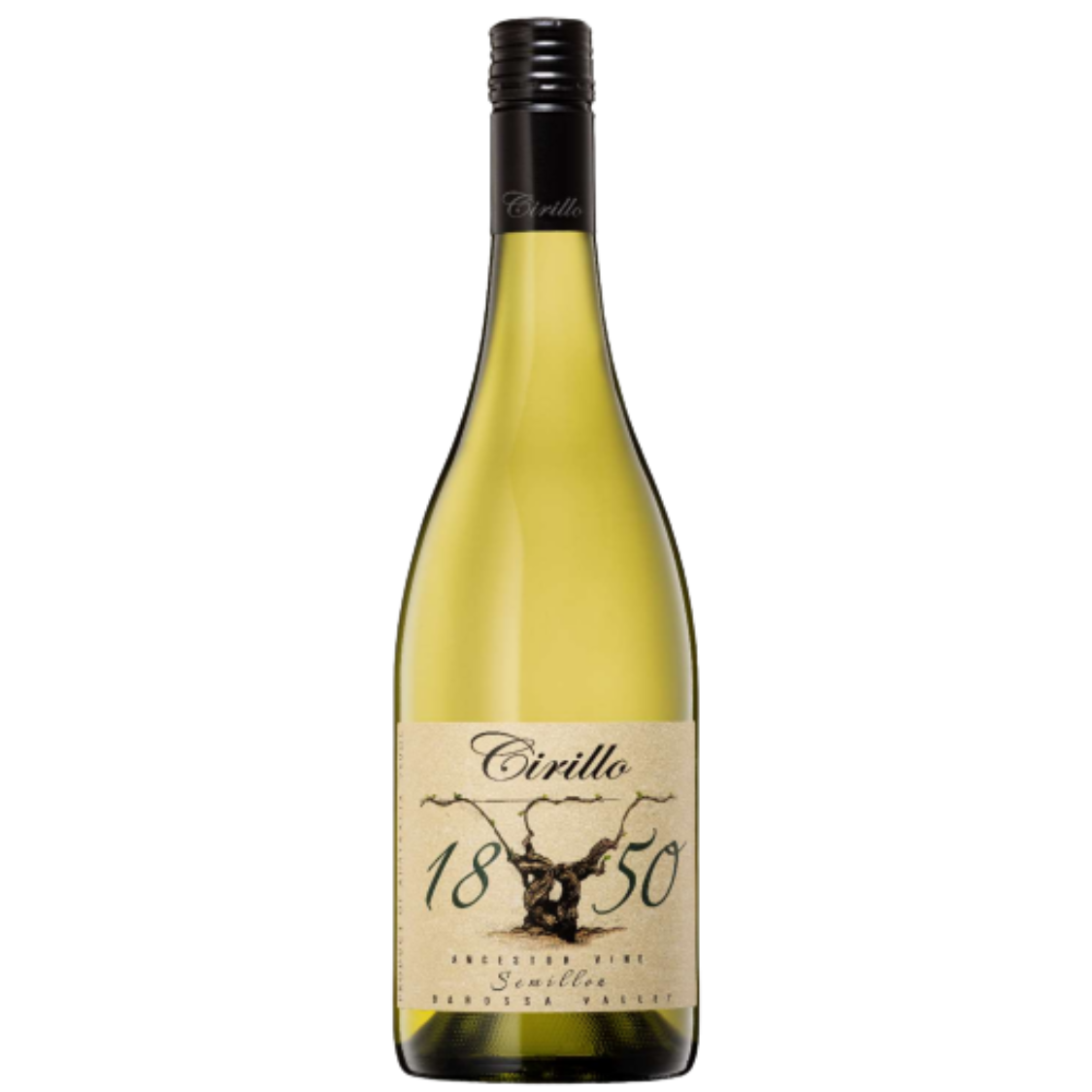 Cirillo 1850 Ancestor Vine Series Semillon 2019 (12 Bottles)