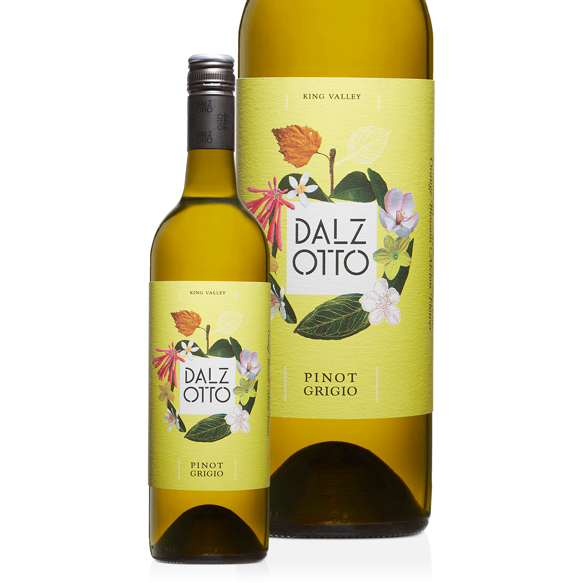 Dal Zotto Pinot Grigio 2024 (6 bottles)