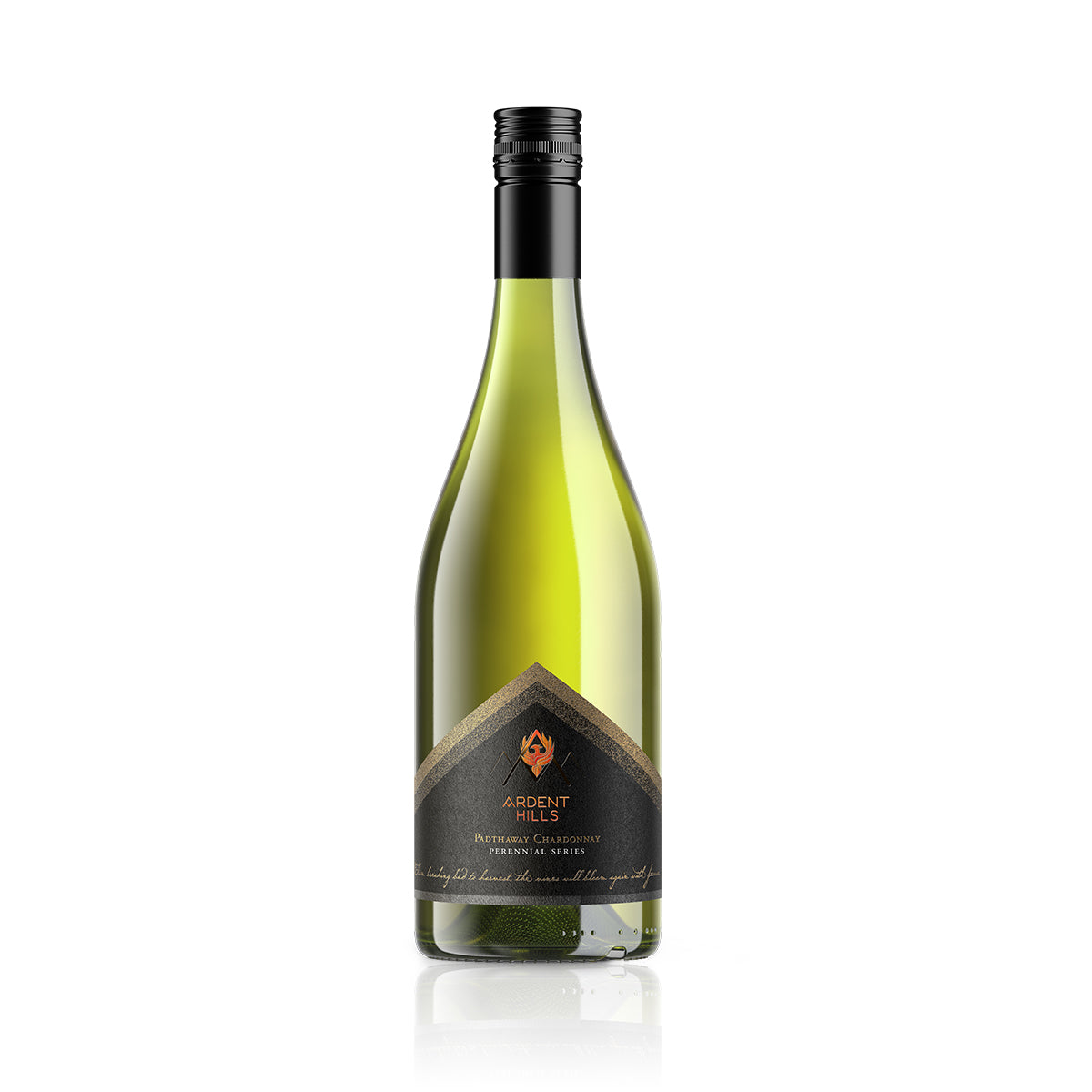 2021 Ardent Hills Padthaway Chardonnay (12 Bottles)