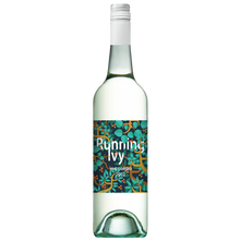 Running Ivy Pinot Grigio 2022 (12 bottles)