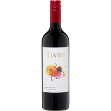 Tintes Chilean Mixed Wine Dozen (12 bottles)
